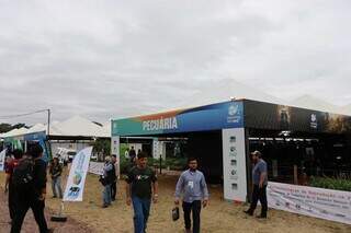 O boi tamb&eacute;m preserva? Pecuaristas defendem modelo centen&aacute;rio do Pantanal