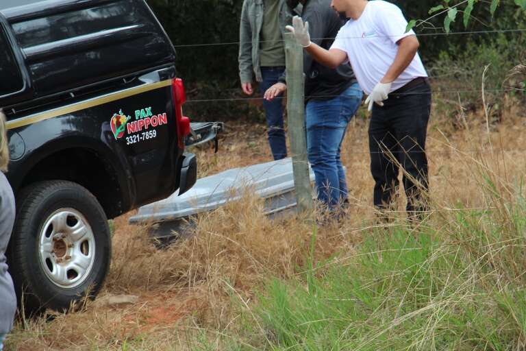 Campo Grande News