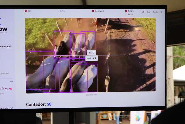 Startup de MS desenvolve IA que identifica e monitora bovinos por imagem