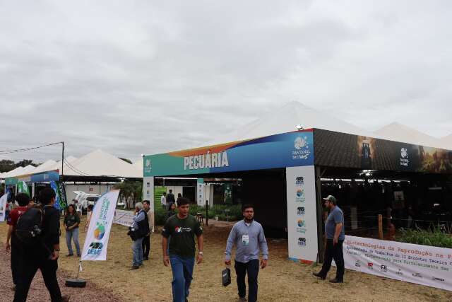 Vozes da Pecu&aacute;ria defendem que produ&ccedil;&atilde;o de gado no Pantanal &eacute; sustent&aacute;vel