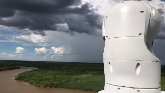 Torres com IA e sat&eacute;lites monitoram inc&ecirc;ndios no Pantanal do Rio Negro