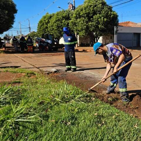 Mutir&atilde;o de tapa-buracos come&ccedil;a com meta de usar 120 toneladas de massa asf&aacute;ltica