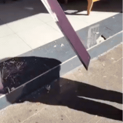 At&eacute; estrutura da porta vira alvo de furto em loja na 14 de Julho