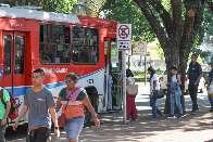 Voc&ecirc; usaria mais &ocirc;nibus na Capital se o servi&ccedil;o melhorasse?