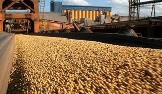 Superávit comercial de MS cresce 13,16% no semestre e atinge US$ 4,648 bilhões Superávit comercial de MS cresce 13,16% no semestre e atinge US$ 4,648 bilhões