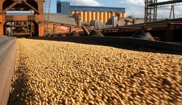 Super&aacute;vit comercial de MS cresce 13,16% no semestre e atinge US$ 4,648 bilh&otilde;es
