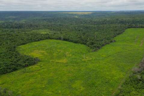 MS vai implementar sistema para monitorar cobertura e uso da terra no Estado
