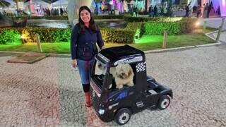 Mayre ama tanto os cachorros que investiu em caminhão só deles Mayre ama tanto os cachorros que investiu em caminhão só deles