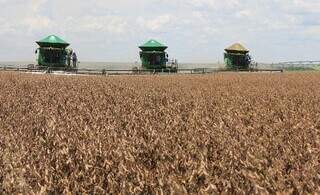 Governo e bancada do agro não chegam a acordo sobre renegociação de dívidas Governo e bancada do agro não chegam a acordo sobre renegociação de dívidas