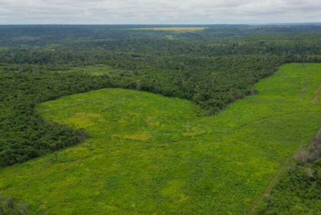 MS vai implementar sistema para monitorar cobertura e uso da terra no Estado
