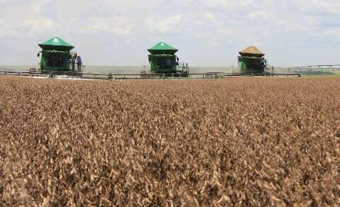 Governo e bancada do agro n&atilde;o chegam a acordo sobre renegocia&ccedil;&atilde;o de d&iacute;vidas