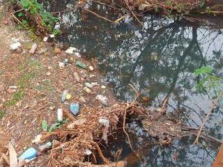 Prefeitura autoriza recupera&ccedil;&atilde;o de &aacute;rea degradada no C&oacute;rrego Lagoa