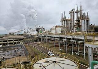 Produ&ccedil;&atilde;o de etanol cresce 29,59% e coloca MS como 3&ordm; maior produtor do Pa&iacute;s