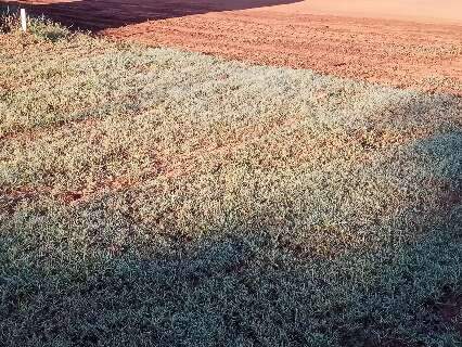 Dia come&ccedil;a com frio de 0&deg;C no sul de MS; Capital tem sensa&ccedil;&atilde;o de 11&deg;C