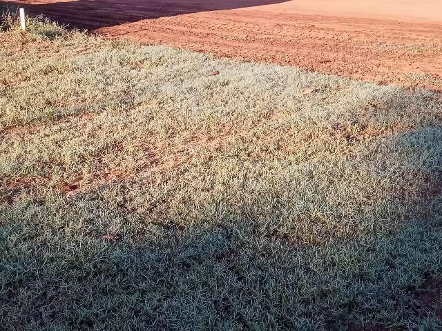 Dia come&ccedil;a com frio de 0&deg;C no sul de MS; Capital tem sensa&ccedil;&atilde;o de 11&deg;C