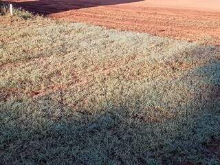 Dia come&ccedil;a com frio de 0&deg;C no sul de MS; Capital tem sensa&ccedil;&atilde;o de 11&deg;C