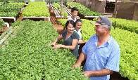 C&acirc;mara aprova cria&ccedil;&atilde;o de programa que compra alimentos de pequenos agricultores