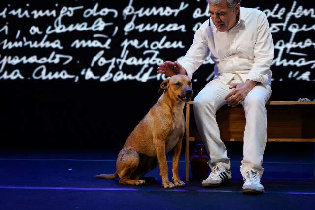 Show era de Paulo Betti, mas foi o cachorro que roubou a cena no palco