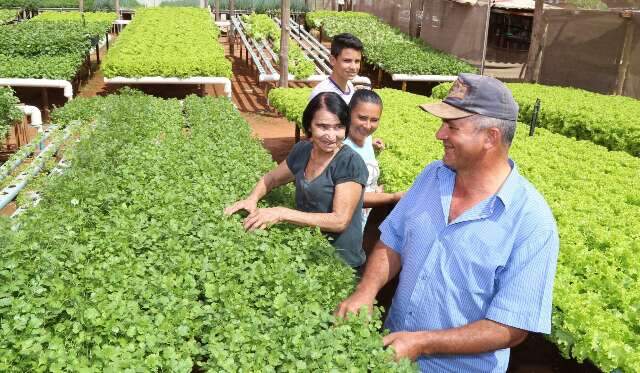 C&acirc;mara aprova cria&ccedil;&atilde;o de programa que compra alimentos de pequenos agricultores