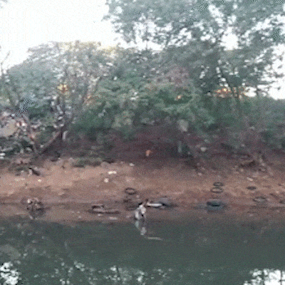 Rio Anhandu&iacute; vira lix&atilde;o com descarte irregular de pneus