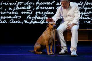 Show era de Paulo Betti, mas foi o cachorro que roubou a cena no palco Show era de Paulo Betti, mas foi o cachorro que roubou a cena no palco