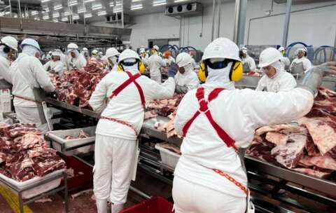 MS ocupa 4&ordm; lugar no crescimento da ind&uacute;stria do pa&iacute;s em 2026, mostra IBGE