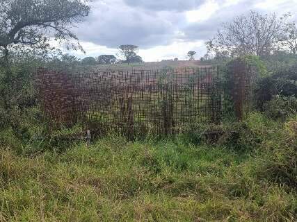 Enquanto ponte de concreto &eacute; &ldquo;esqueleto&rdquo;, alunos podem ficar sem ir &agrave; escola