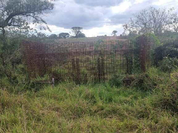 Enquanto ponte de concreto &eacute; &ldquo;esqueleto&rdquo;, alunos podem ficar sem ir &agrave; escola