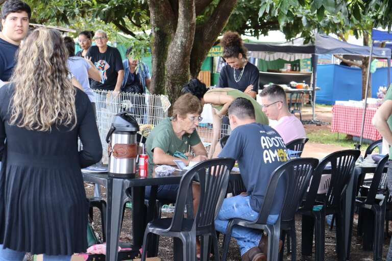 Campo Grande News