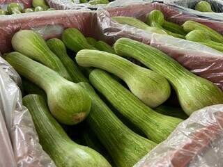 Oferta reduzida eleva custo de frutas na Ceasa, com alta de mam&atilde;o e manga