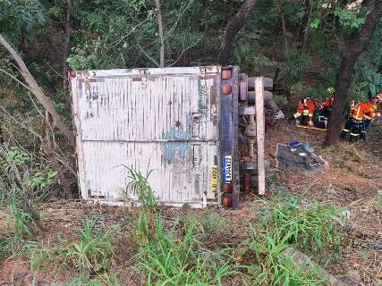 Empres&aacute;rio coxinense morre ap&oacute;s ve&iacute;culo atingir &aacute;rvore em rodovia
