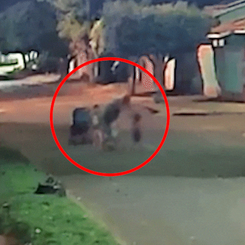 Crian&ccedil;as de dois anos s&atilde;o acolhidas ap&oacute;s serem agredidas por irm&atilde;o adolescente