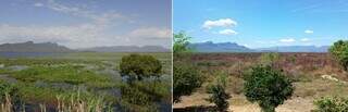 Pantanal pode aquecer mais de 2,5°C e perder chuvas em área estratégica até 2070 Pantanal pode aquecer mais de 2,5°C e perder chuvas em área estratégica até 2070