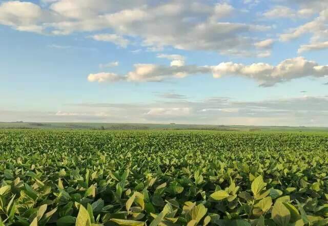 Produtores de MS ter&atilde;o acesso a R$ 13,4 bilh&otilde;es no Plano Safra 