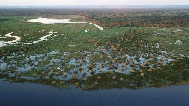 Pantanal pode aquecer mais de 2,5&deg;C e perder chuvas em &aacute;rea estrat&eacute;gica at&eacute; 2070