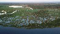 Pantanal pode aquecer mais de 2,5&deg;C e perder chuvas em &aacute;rea estrat&eacute;gica at&eacute; 2070