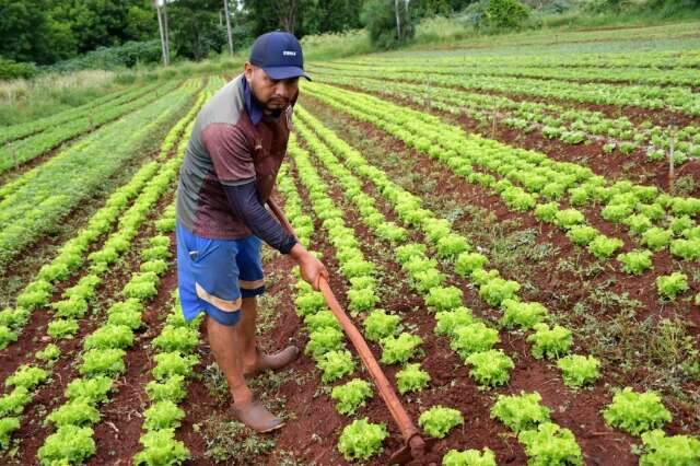 Comida do pequeno produtor poder&aacute; chegar direto a fam&iacute;lias em vulnerabilidade