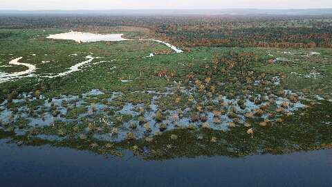 Pantanal pode aquecer mais de 2,5&deg;C e perder chuvas em &aacute;rea estrat&eacute;gica at&eacute; 2070