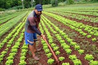 Comida do pequeno produtor poderá chegar direto a famílias em vulnerabilidade Comida do pequeno produtor poderá chegar direto a famílias em vulnerabilidade