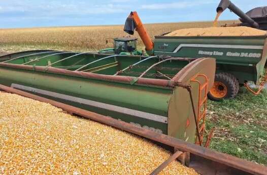 MS mant&eacute;m 5&ordf; posi&ccedil;&atilde;o na produ&ccedil;&atilde;o de gr&atilde;os em safra recorde do pa&iacute;s