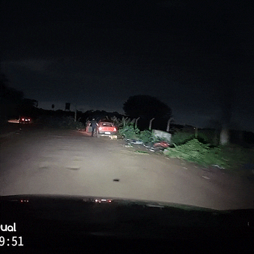 Homem abandona c&atilde;es em estrada escura, mas acaba filmado e denunciado