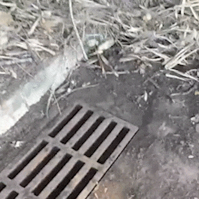 Morador flagra equipe deixando sujeira de bueiro e reclama de entupimentos