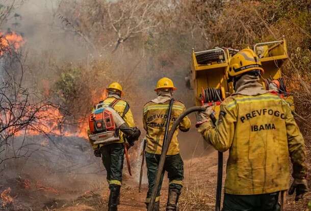 MP aprovada pela C&acirc;mara libera R$ 337,5 milh&otilde;es para combate a inc&ecirc;ndios