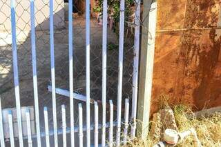 "Gato" em poste espalha choque por casas e assusta moradores no José Teruel "Gato" em poste espalha choque por casas e assusta moradores no José Teruel