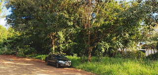 Prefeitura põe em leilão terreno a 266 metros da Afonso Pena por R$ 3,1 mi Prefeitura põe em leilão terreno a 266 metros da Afonso Pena por R$ 3,1 mi
