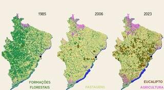 Êxodo rural, fauna e abelhas sentem avanço dos eucaliptais em Mato Grosso do Sul Êxodo rural, fauna e abelhas sentem avanço dos eucaliptais em Mato Grosso do Sul