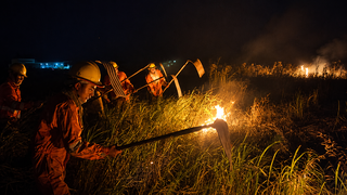 Satélite mantém 4 eventos de fogo ativos na fronteira do Pantanal Satélite mantém 4 eventos de fogo ativos na fronteira do Pantanal