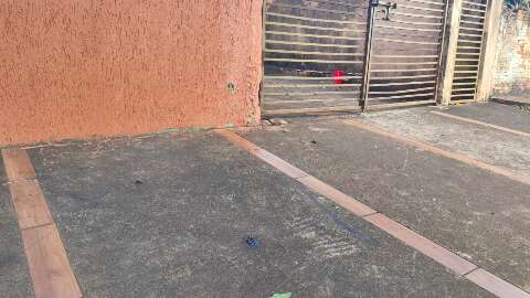 Homem morre em cal&ccedil;ada ao ser golpeado na cabe&ccedil;a pelo atual marido da ex