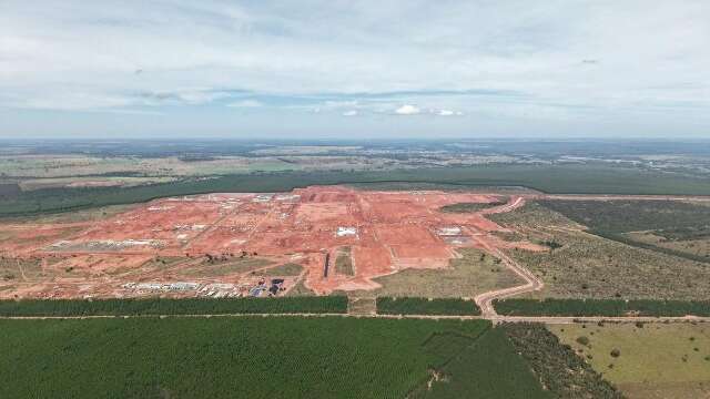Justi&ccedil;a garante imposto menor &agrave; Arauco em contratos de usufruto de terras