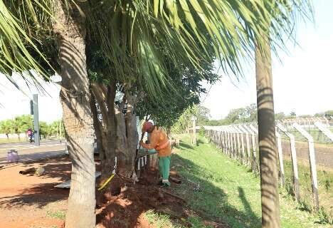 Pipoqueiro investe do pr&oacute;prio bolso para preservar ponto na Orla do Aeroporto